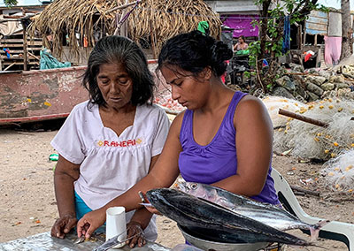 Selling fish by the roadside, Tarawa, Kiribati