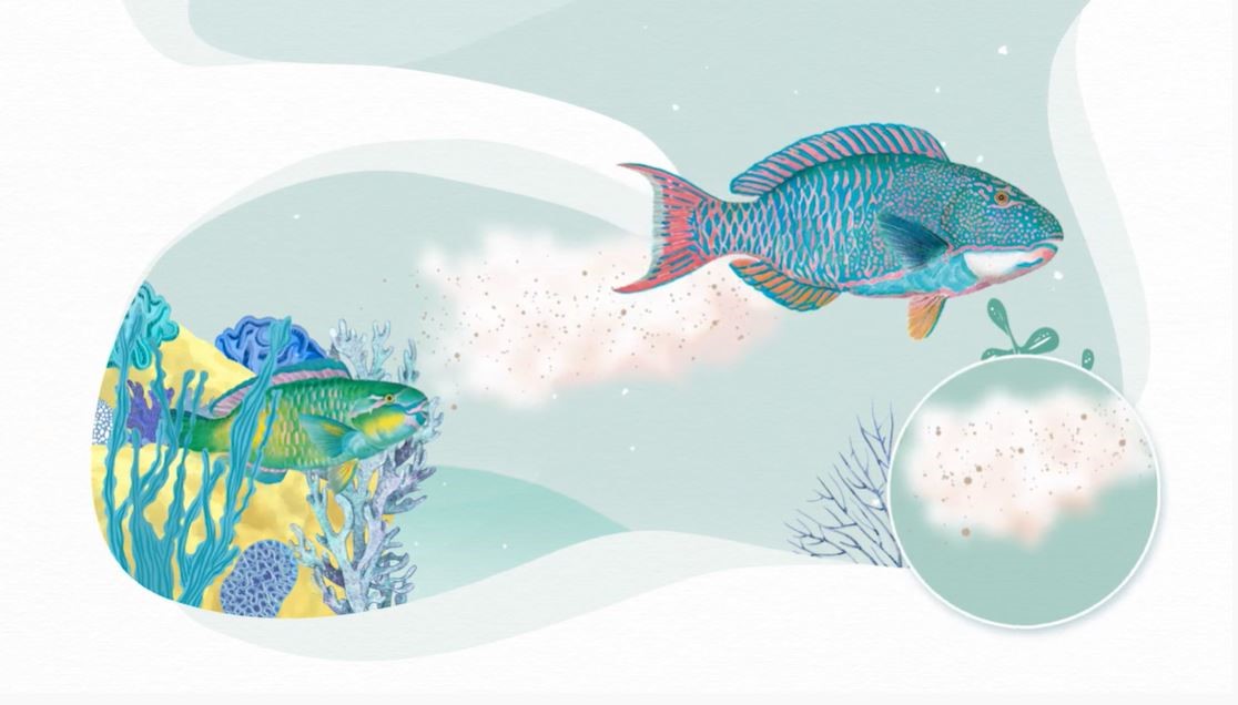 How to create awareness on sustainable fisheries