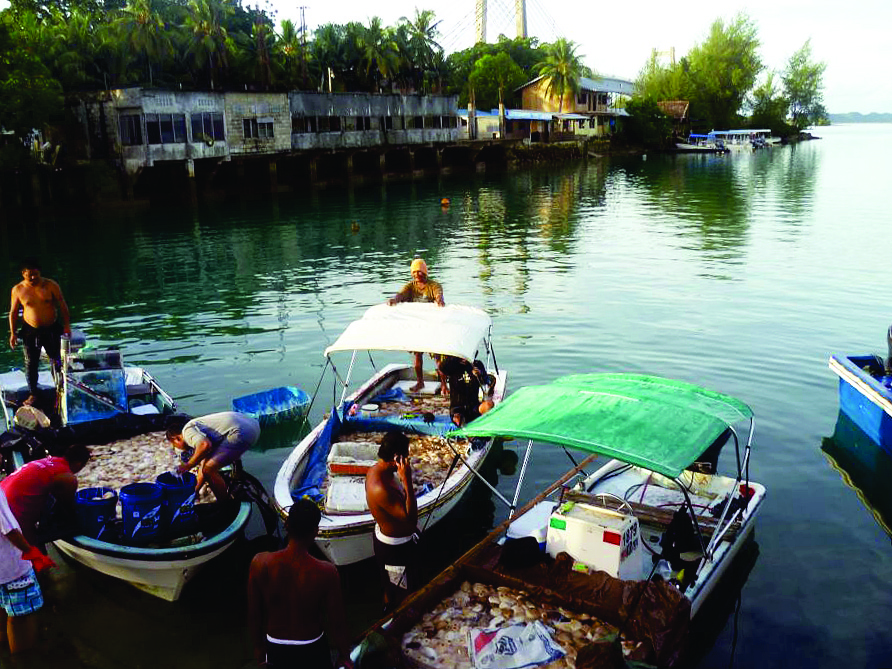 Creel Survey Training for Tonga Fisheries