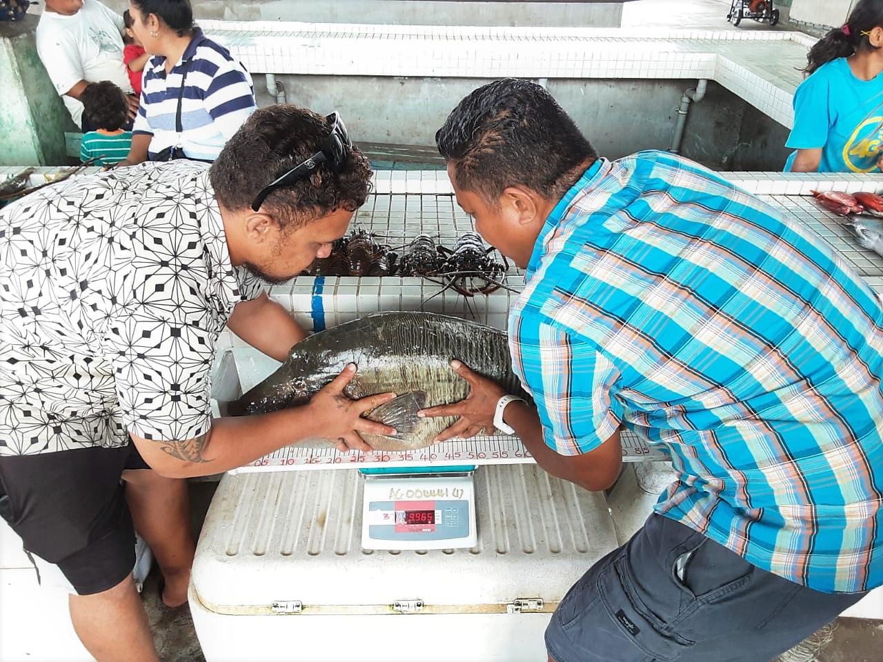 Market survey training for Tonga Fisheries