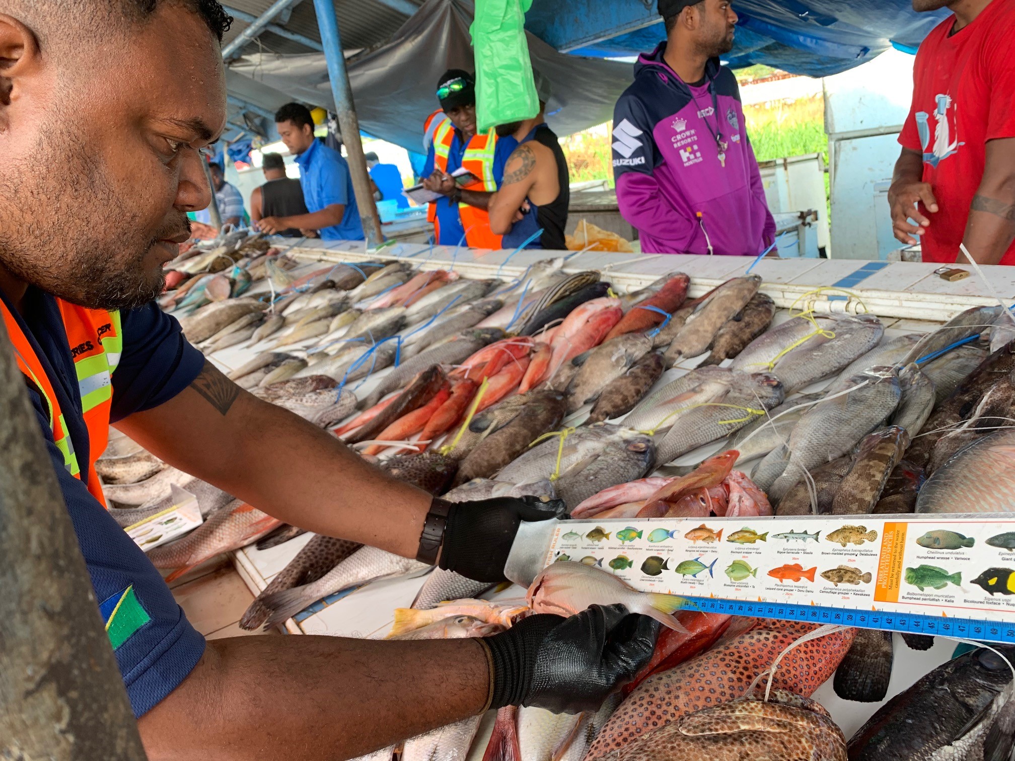 MCS officer at Fiji market