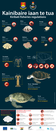 Poster for Kiribati Fisheries regulations produced by SPC FAME