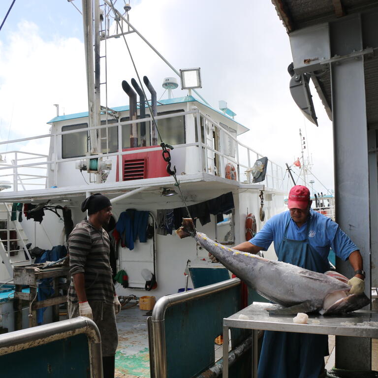 Annual Pre-assessment workshop (PAW) 