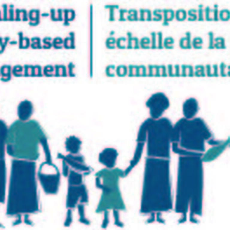 Sub-Regional CBFM workshop, Melanesia