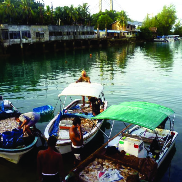Creel Survey Training for Tonga Fisheries