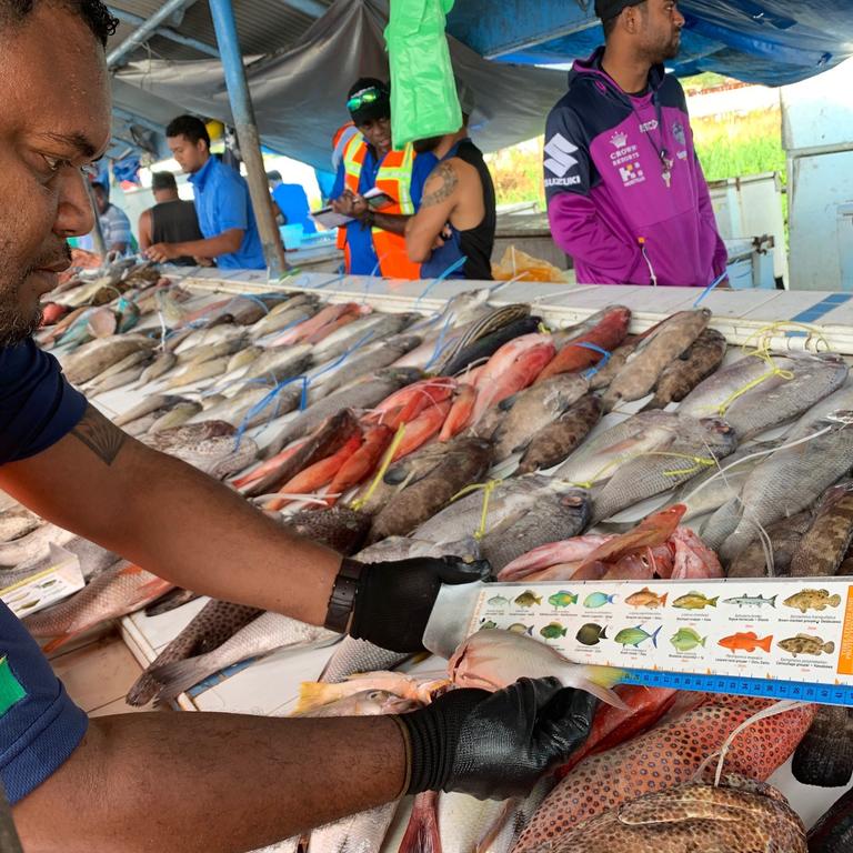 MCS officer at Fiji market