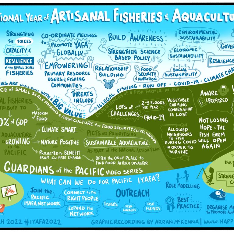 Live drawing during the virtual session