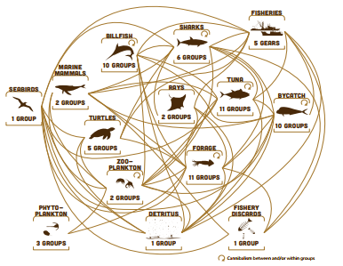 Illustration of the pelagic food web