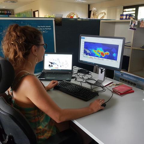 SPC fisheries scientist (purse-seine dynamics), analysing d-FAD data