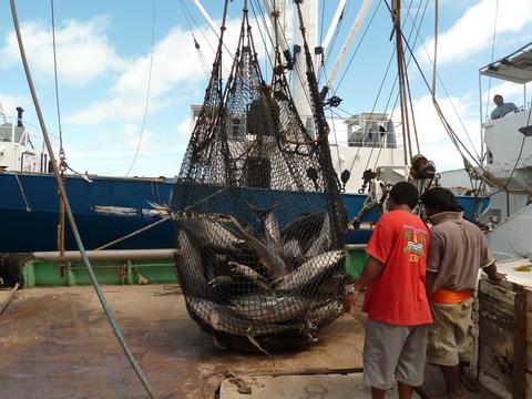 Kiribati observer training